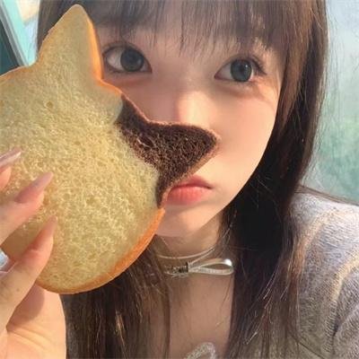 我和寻回犬的十个约定